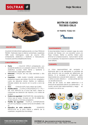 Ficha Tecnica DE Zapatos Dielectricos Ingenieria Civil UCV