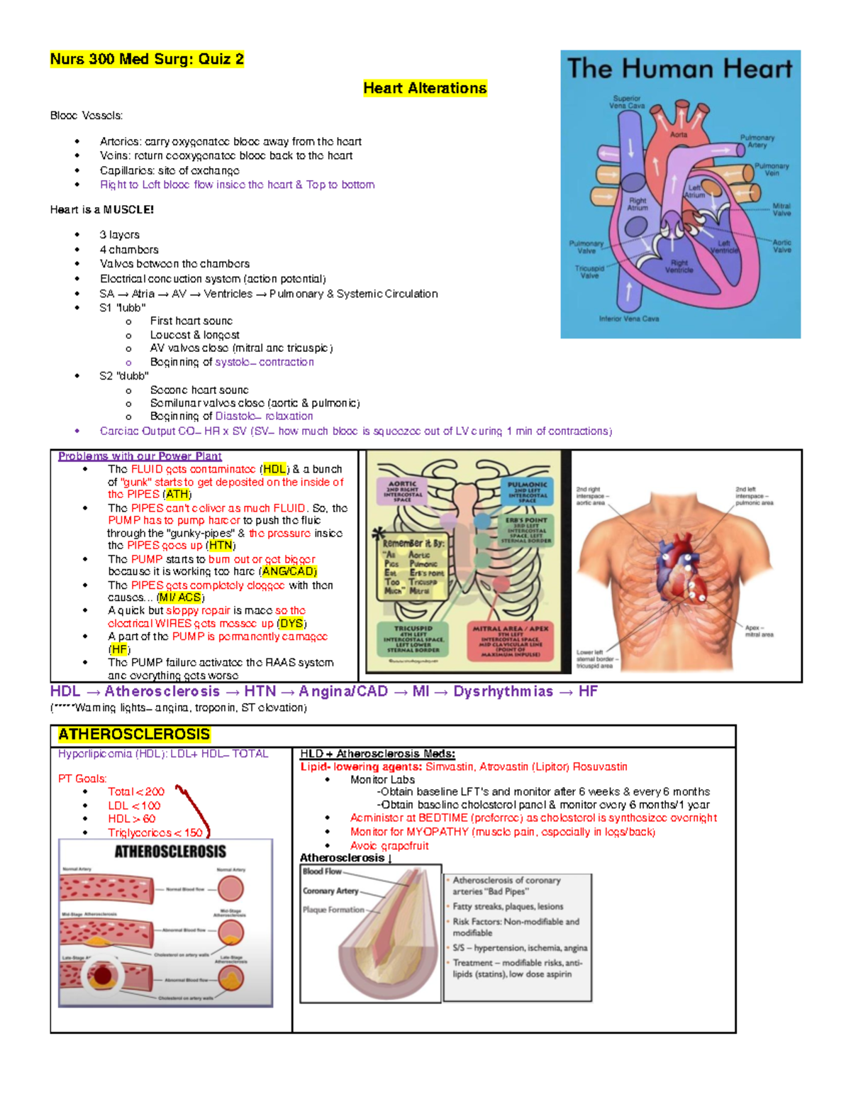 MS-Q2 - Notes - Nurs 300 Med Surg: Quiz 2 Heart Alterations Blood ...