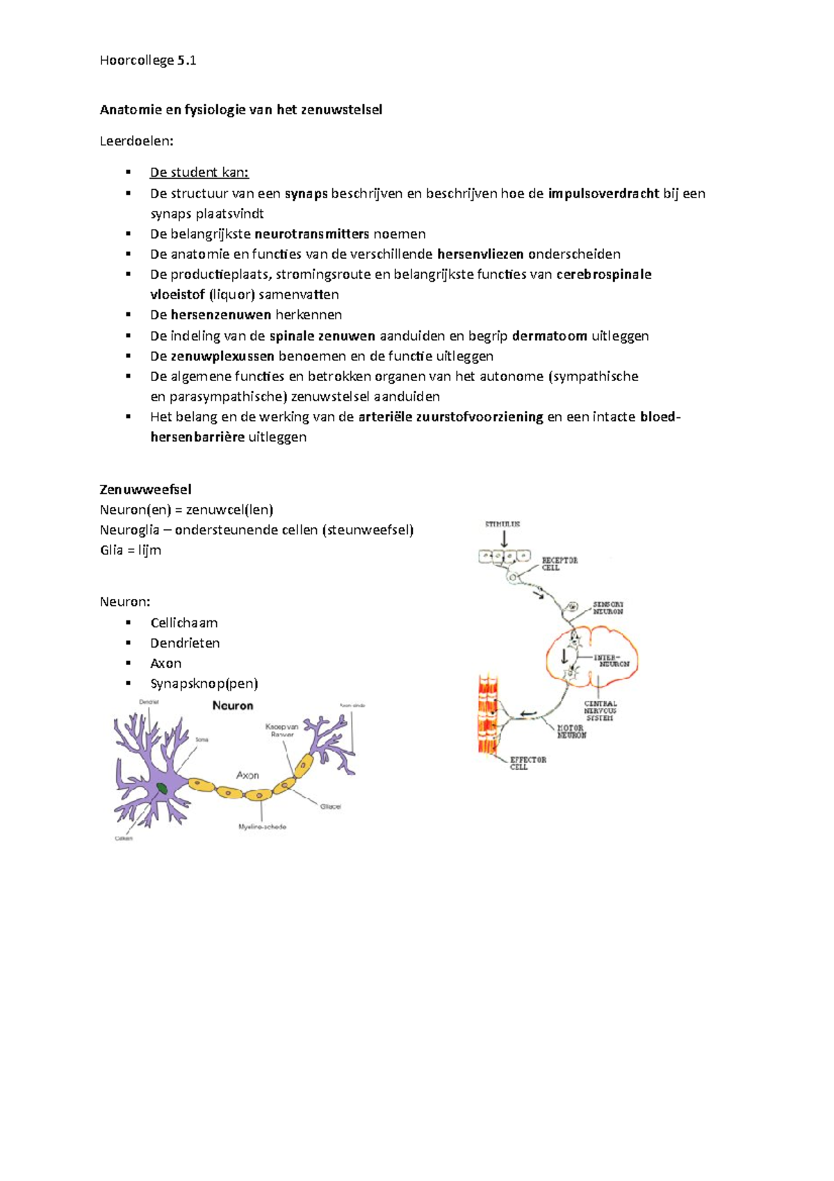 Hoorcollege 5.1 Zenuwstelsel - Anatomie En Fysiologie Van Het ...