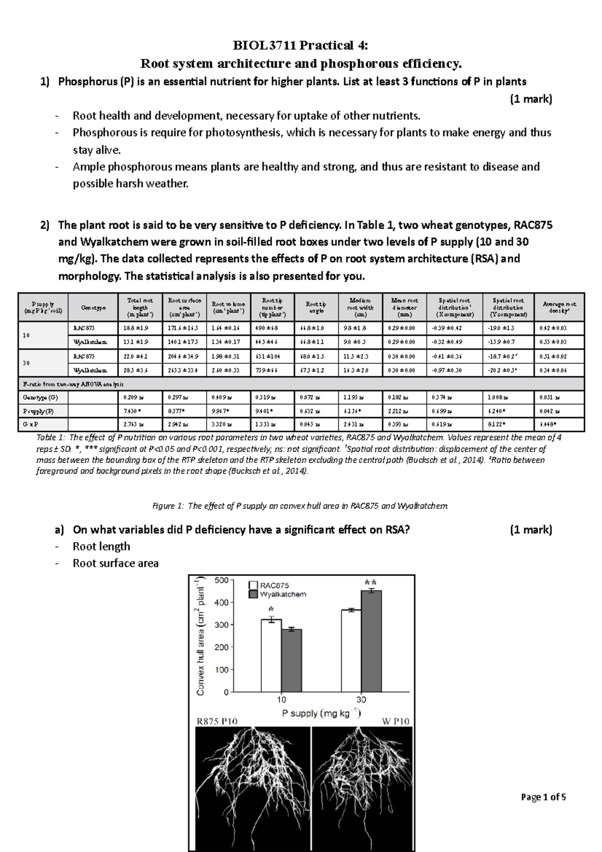Practical 4 Questions and Data - BIOL3711 Practical 4: Root system ...