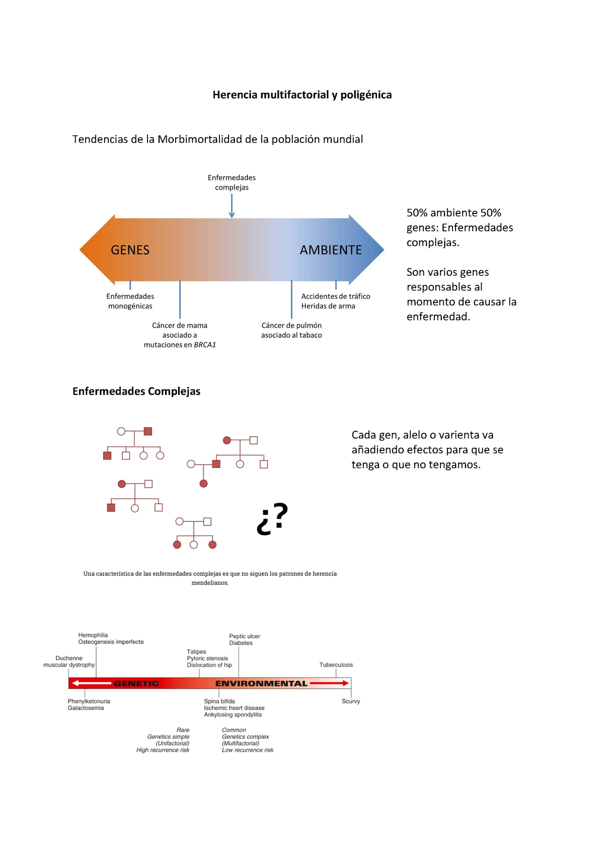 Herencia Multifactorial Y Poligénica-resumen Para Las Lecciones ...