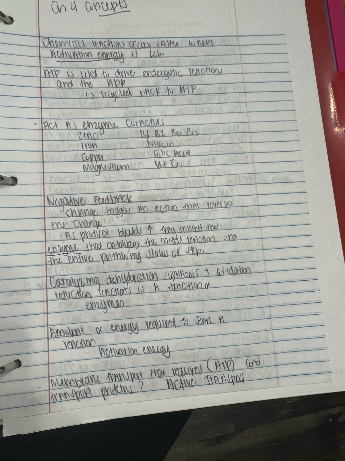 Page 1 - bio 101 chap 2 exam notes - an 4 ancepts Chemical reactions ...