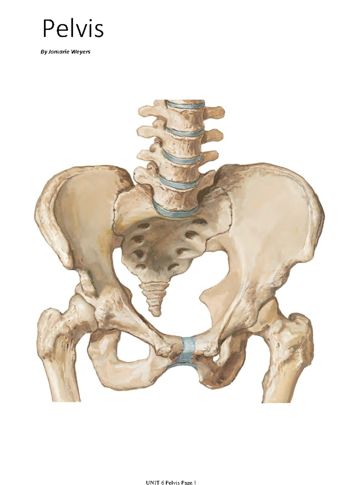 UNIT 6 Pelvis - SA 4 Gnk 288 - By Jomarie Weyers Pelvis Disclaimer This ...