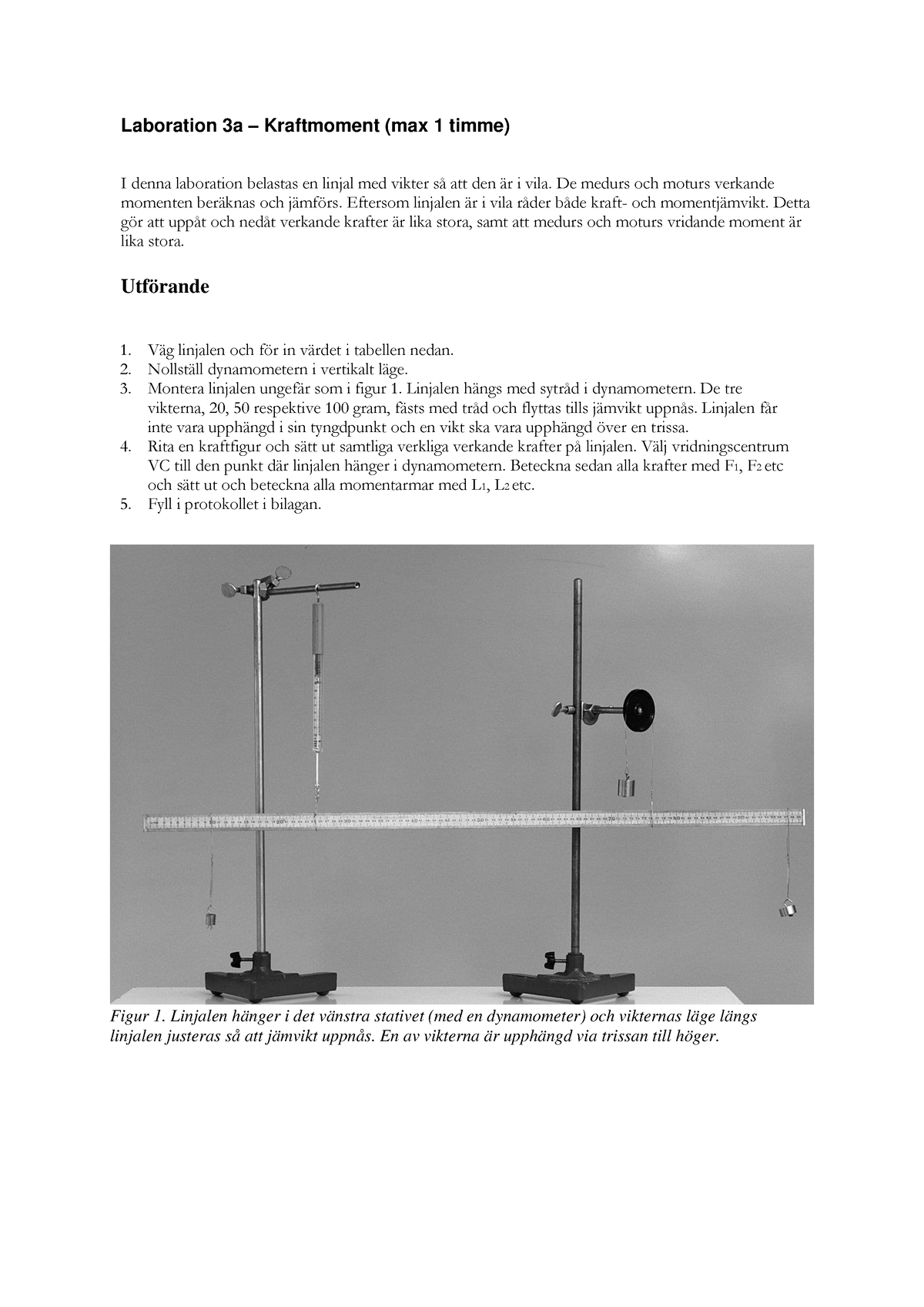 Laboration 3-Kraftmoment HT23 - Laboration 3a – Kraftmoment (max 1 ...