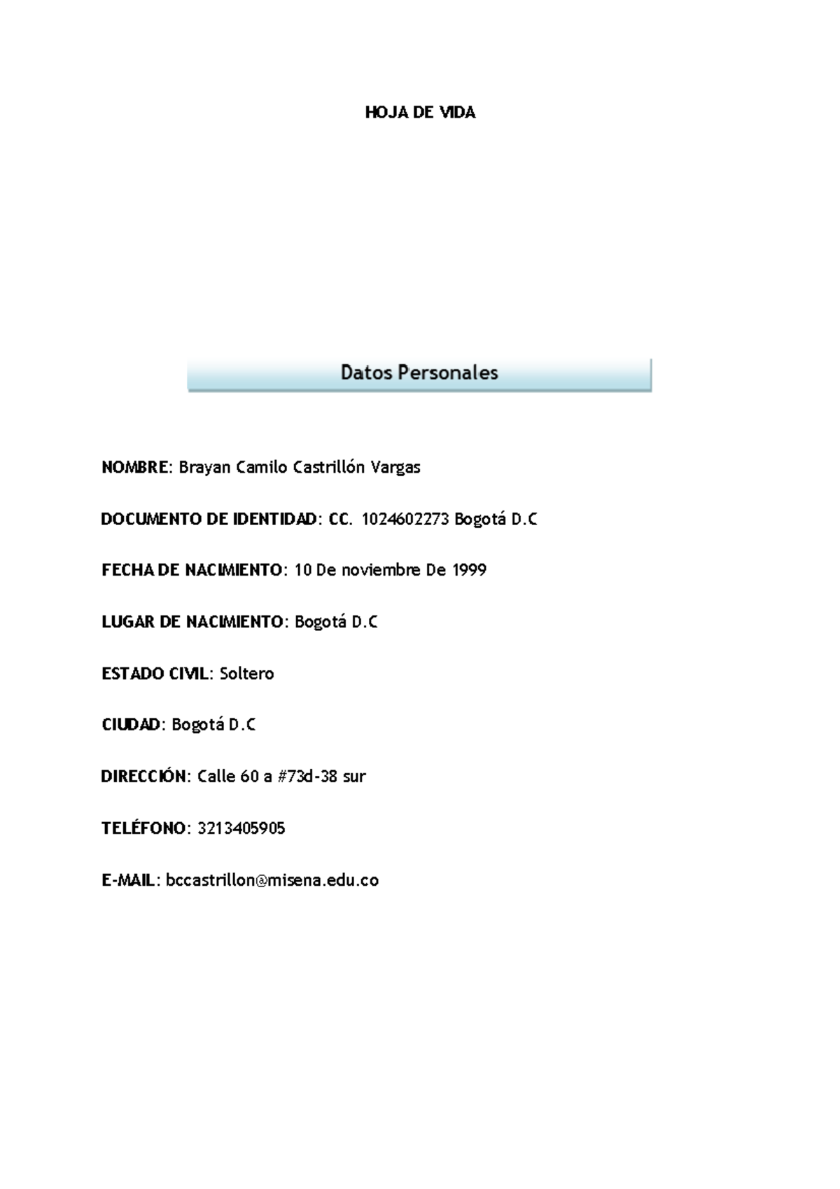 hojade-vida-completa-fsdfsdfds-hoja-de-vida-nombre-brayan-camilo