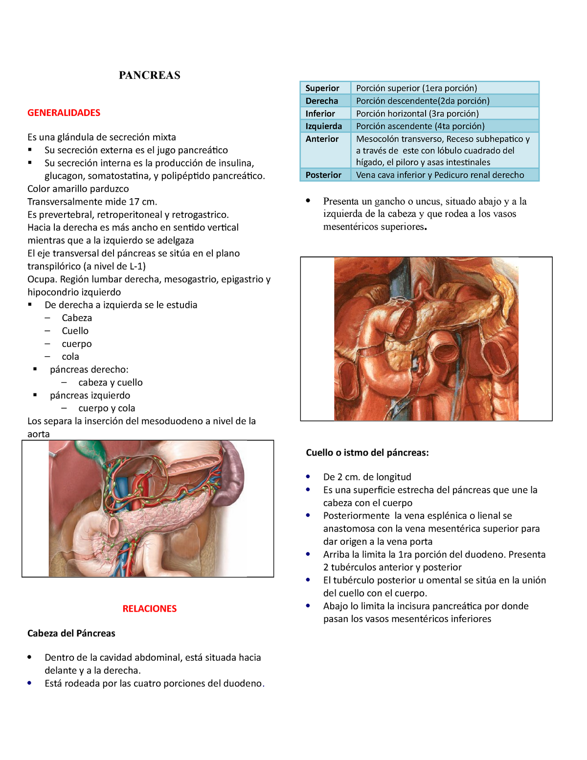 Resumen Pancreas Pancreas Generalidades Es Una Glándula De Secreción Mixta Su Secreción 