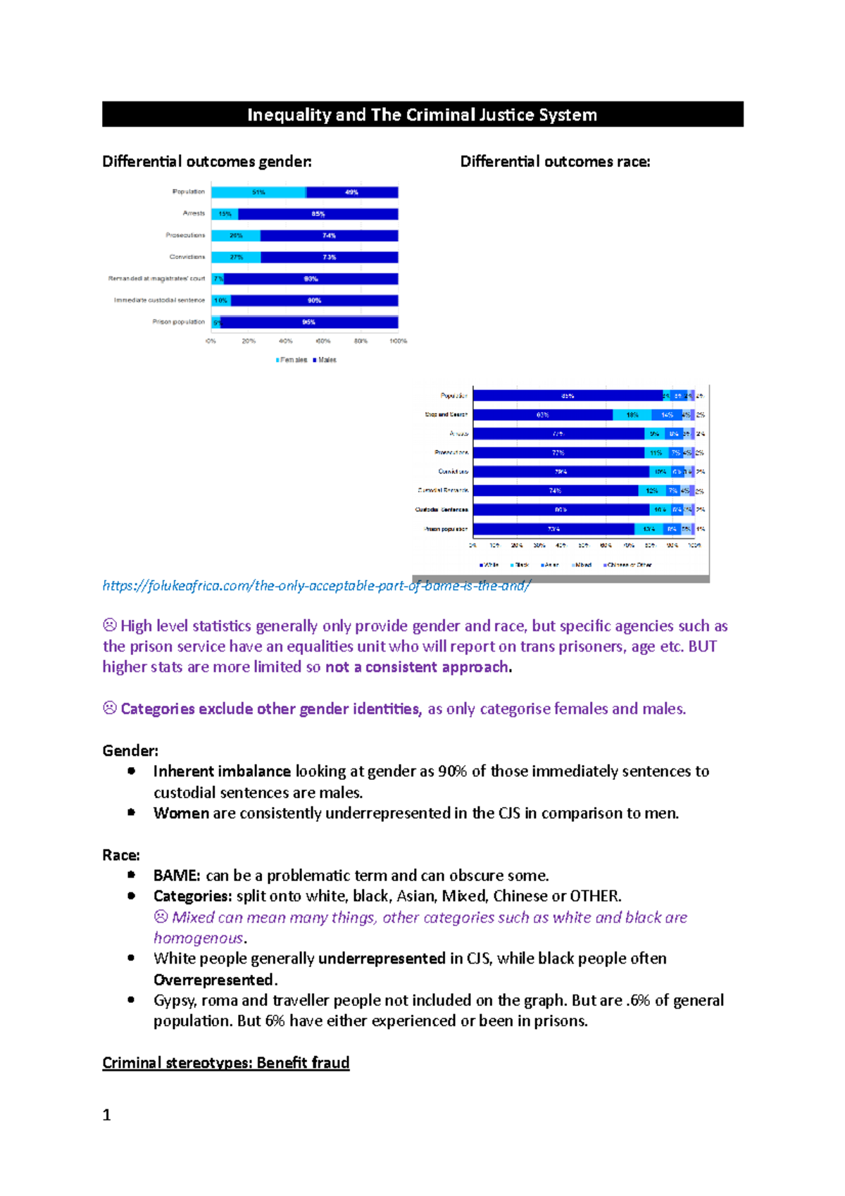Inequality and Crim JS Inequality and The Criminal Justice System