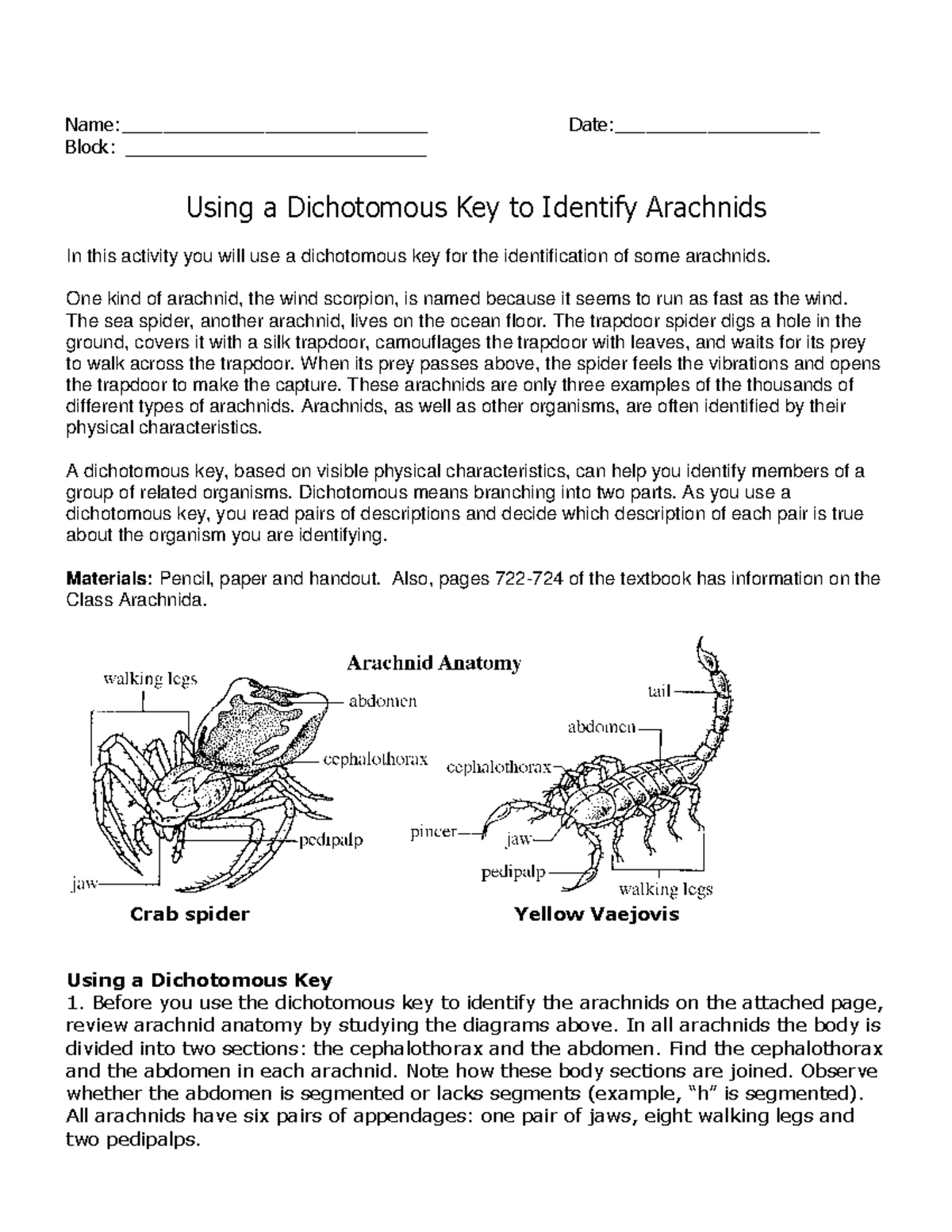 Dicotomous Key arachnidspiders Name