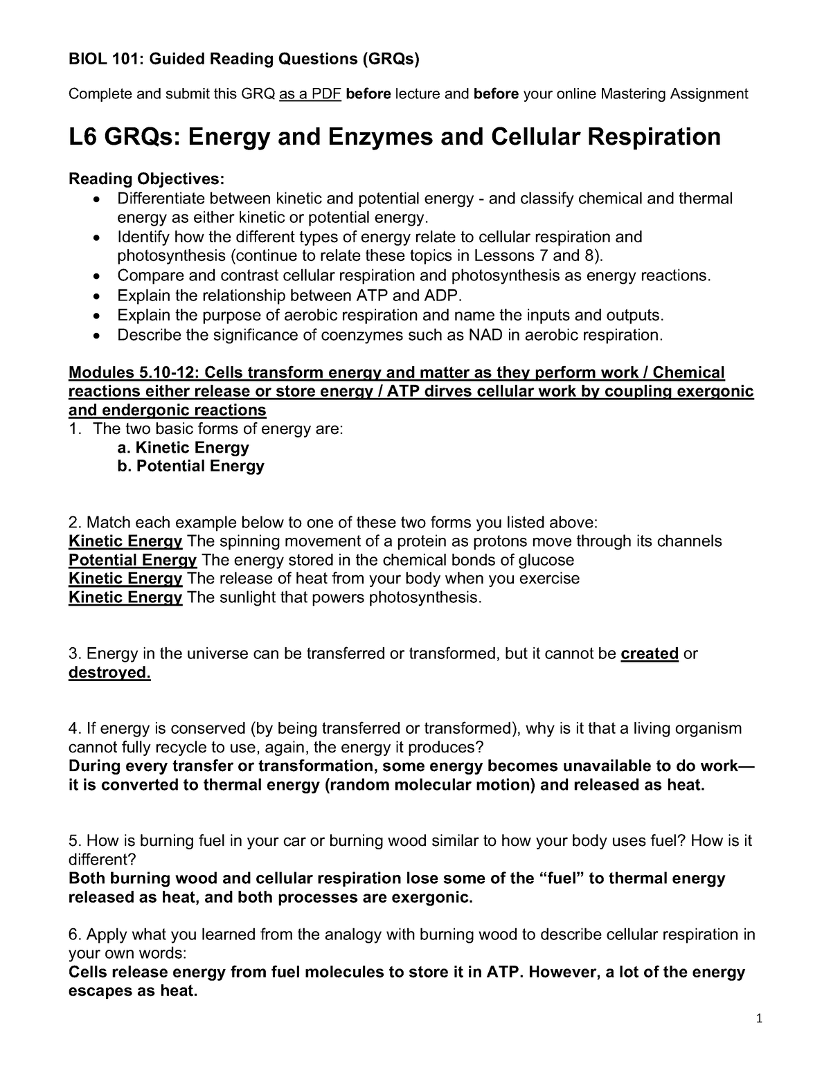 Lesson 6 GRQs Energy and Enzymes and Cellular Respiration - Complete ...