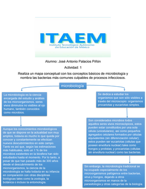 mapa conceptual con los conceptos básicos de microbiología - microbiología  La microbiología es la - Studocu