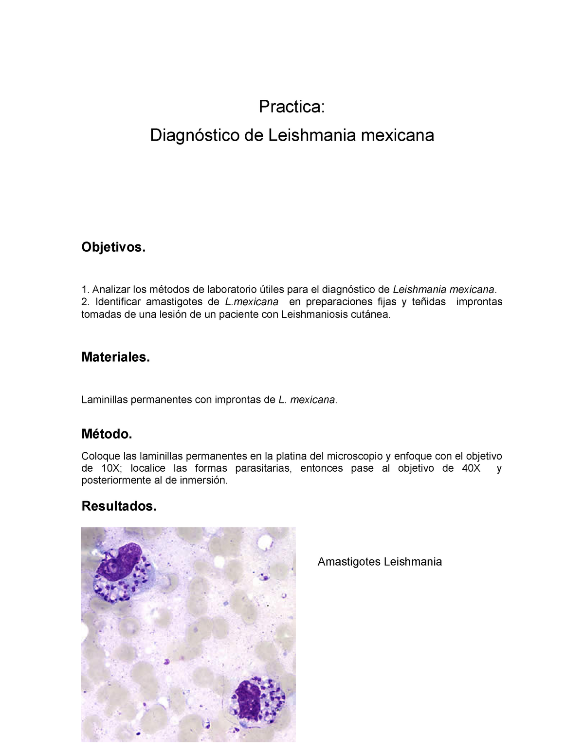 morfología de leishmania donovani