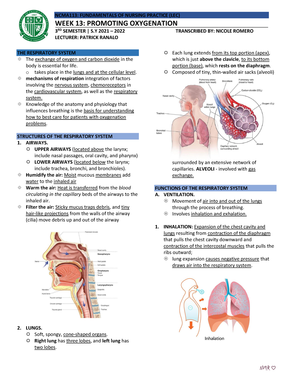 NCMA113 Finals- Reviewer-1 - THE RESPIRATORY SYSTEM The exchange of ...