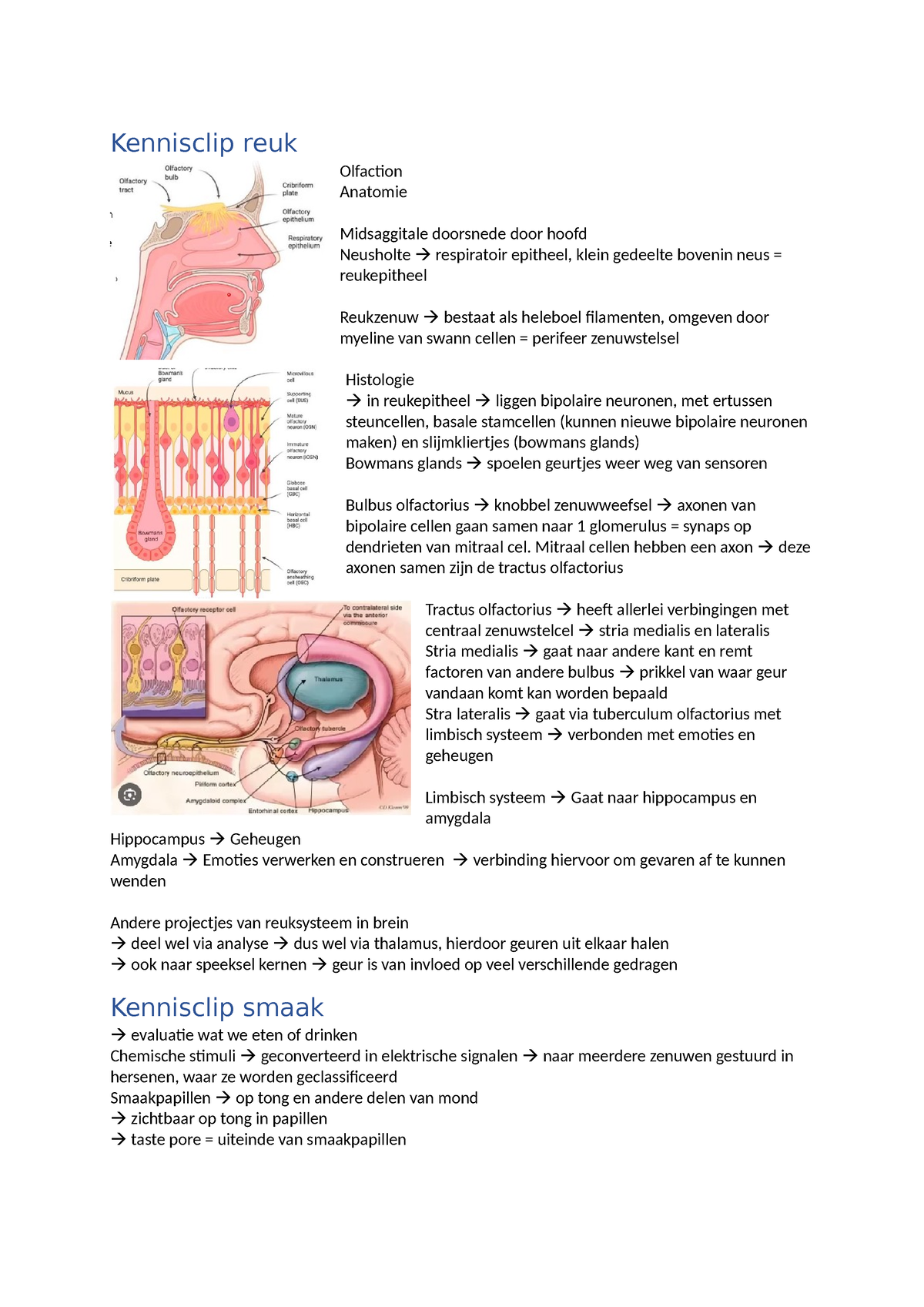 M9 Tg Aantekeningen Info Clips Anatomie Zintuigen Kennisclip Reuk