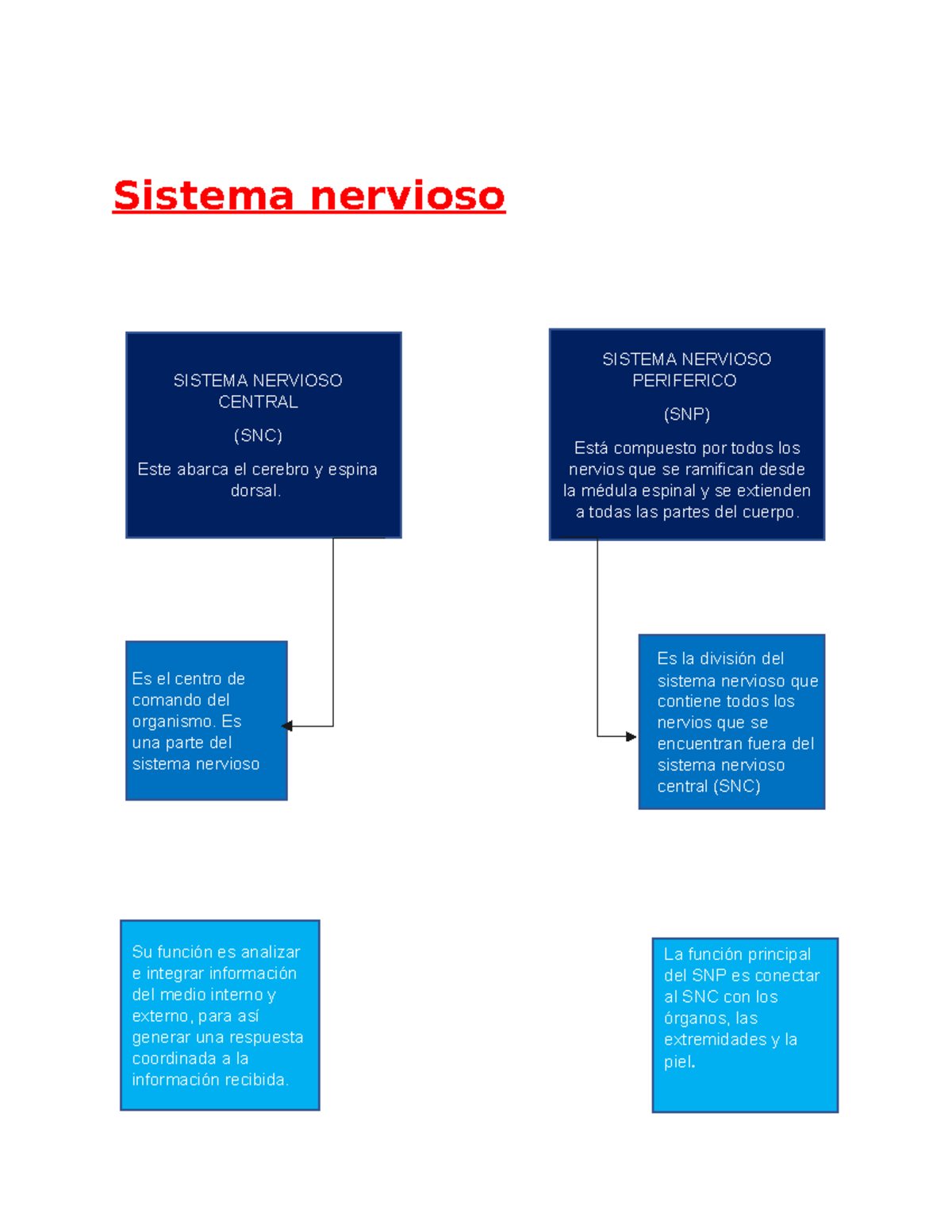 SNC Y SNP - Tarea - Sistema Nervioso La Función Principal Del SNP Es ...