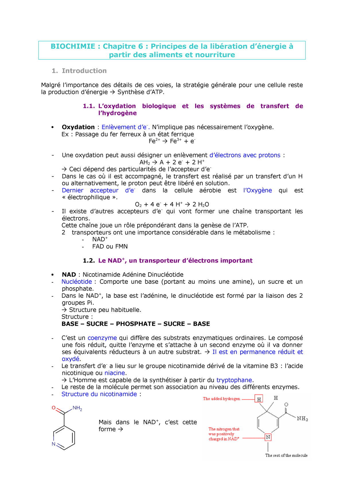 Biochimie Chapitre 6 Bioc9238 1 Biochimie Générale Y - 