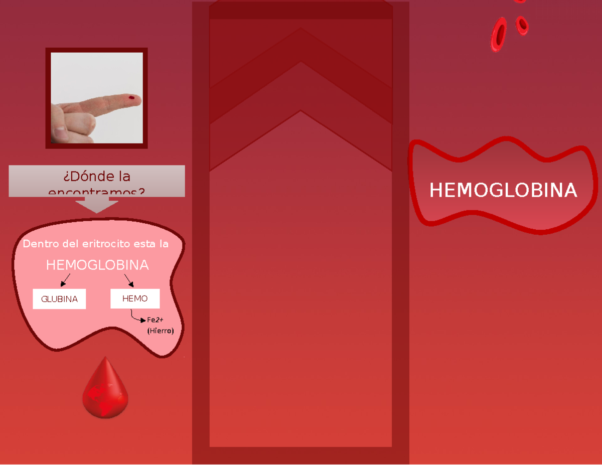 Triptico Hemoglobina - fddfd - Fe2+ (Hierro) ####### GLUBINA HEMO ...