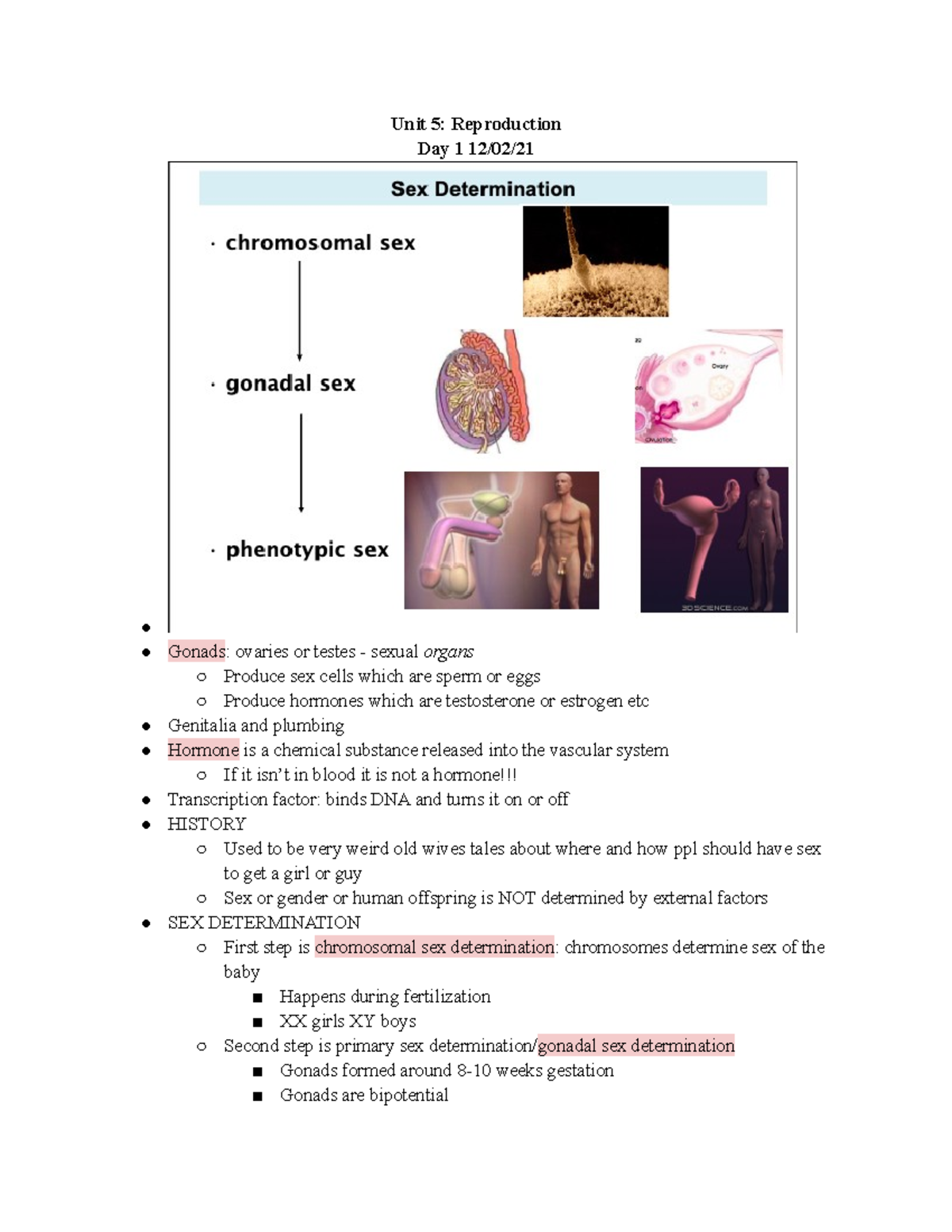 UNIT 5 Reproduction - Notes from the fifth Unit, Unit 5, of BMS 300 ...