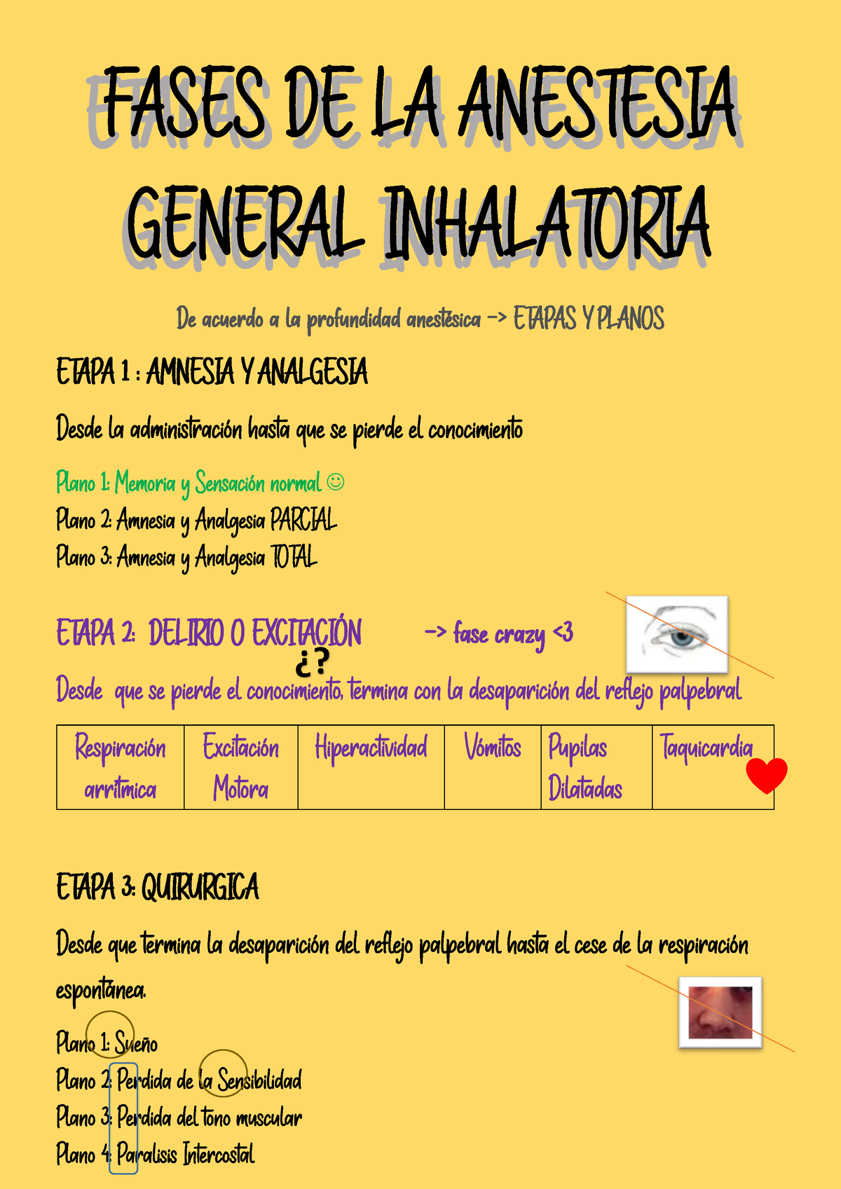 Fases De Anestesia General - FARMACOLOGÍA - ø? - Studocu