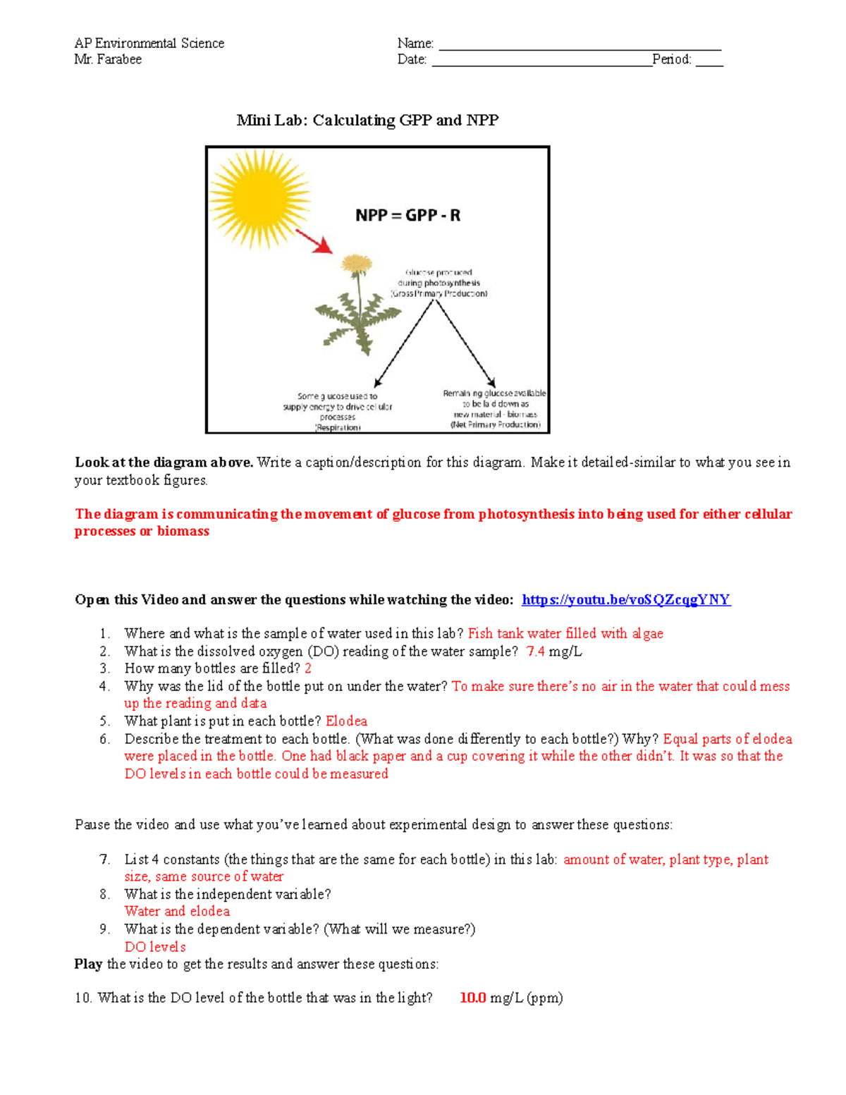 mini-virtual-lab-calculating-gpp-and-npp1-ap-environmental-science