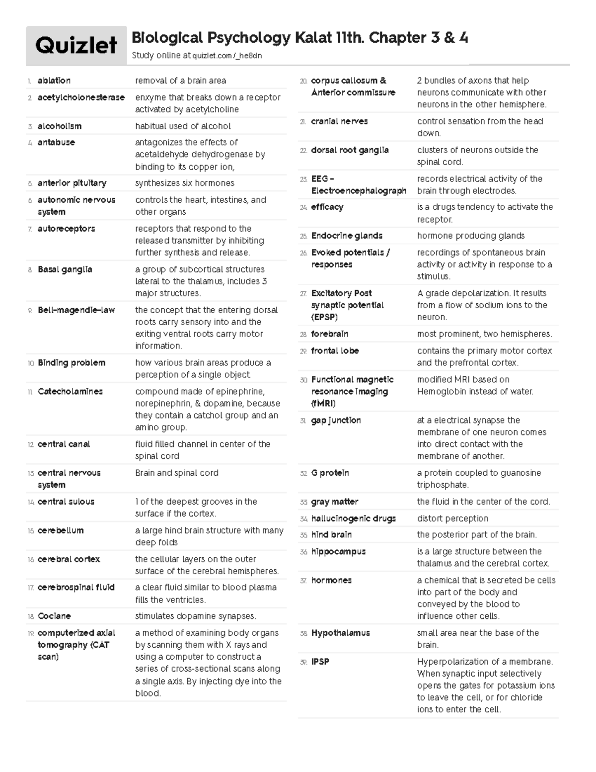 biological psychology chapter 4 quizlet