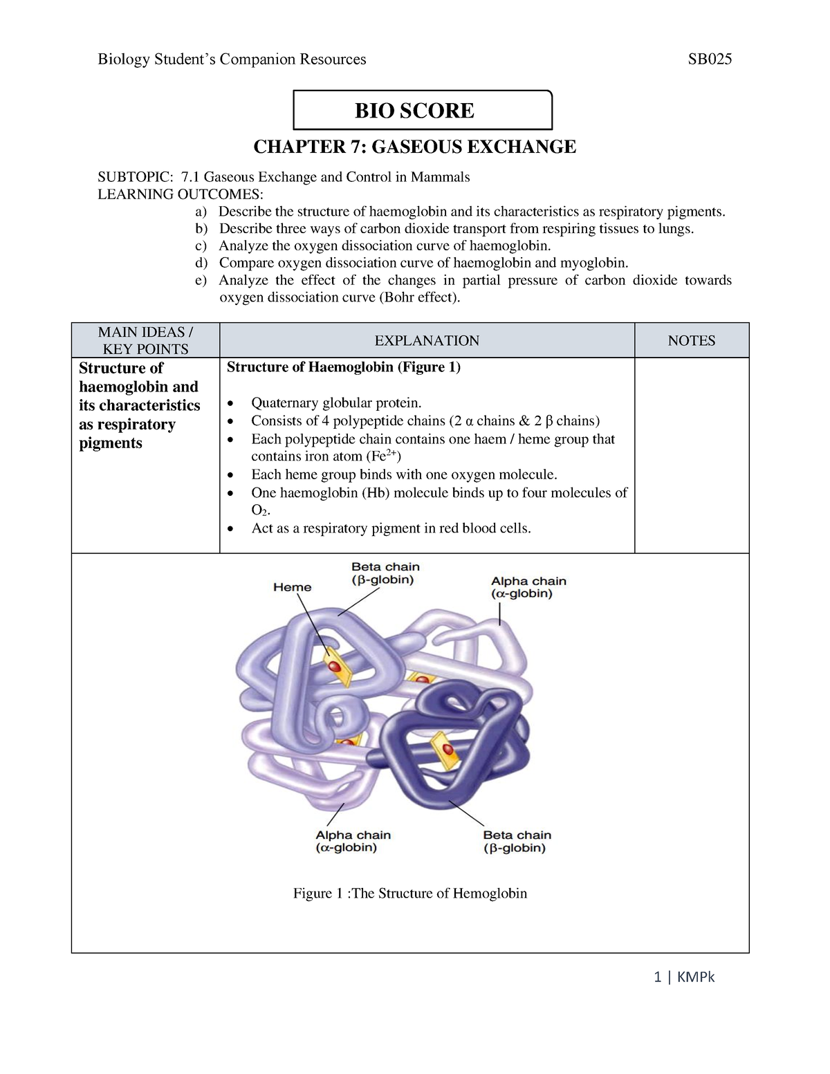 SB02 5 7. Gaseous Exchange - BIO SCORE CHAPTER 7: GASEOUS EXCHANGE ...