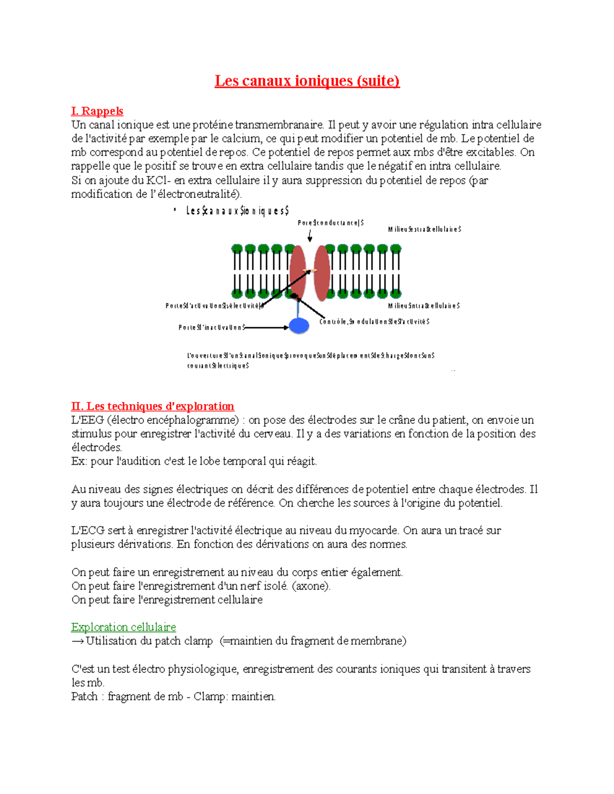 6 Les Canaux Ioniques 2 Les Canaux Ioniques suite I Rappels Un 