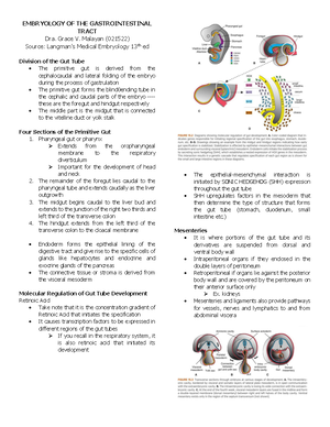 GA 01-04-2020 Gross Anatomy OF Kidney, Ureter, Bladder Outline ...