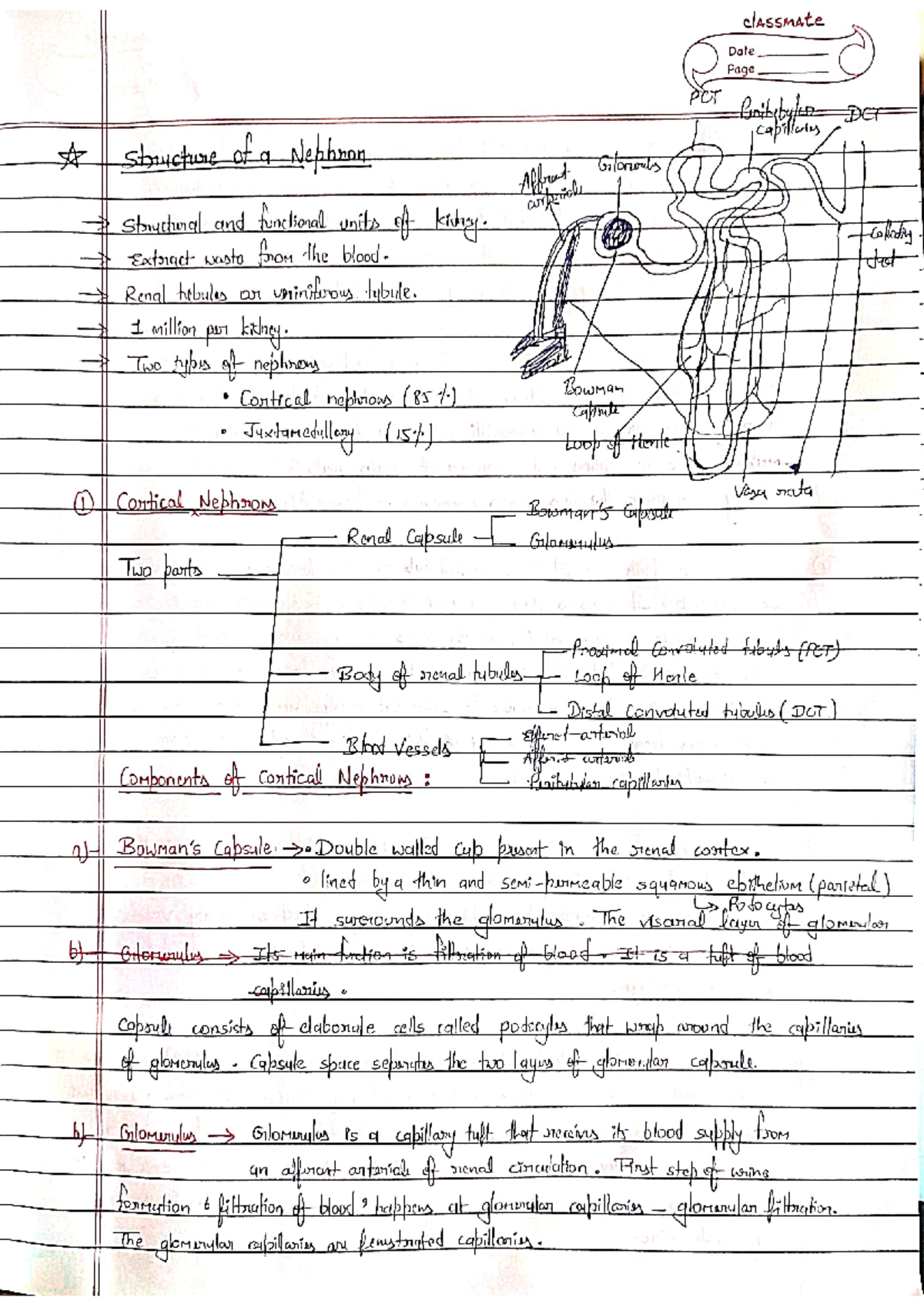 DOC-20240604-WA0000 - Human physiology part 2 - classmate Date Page POT ...