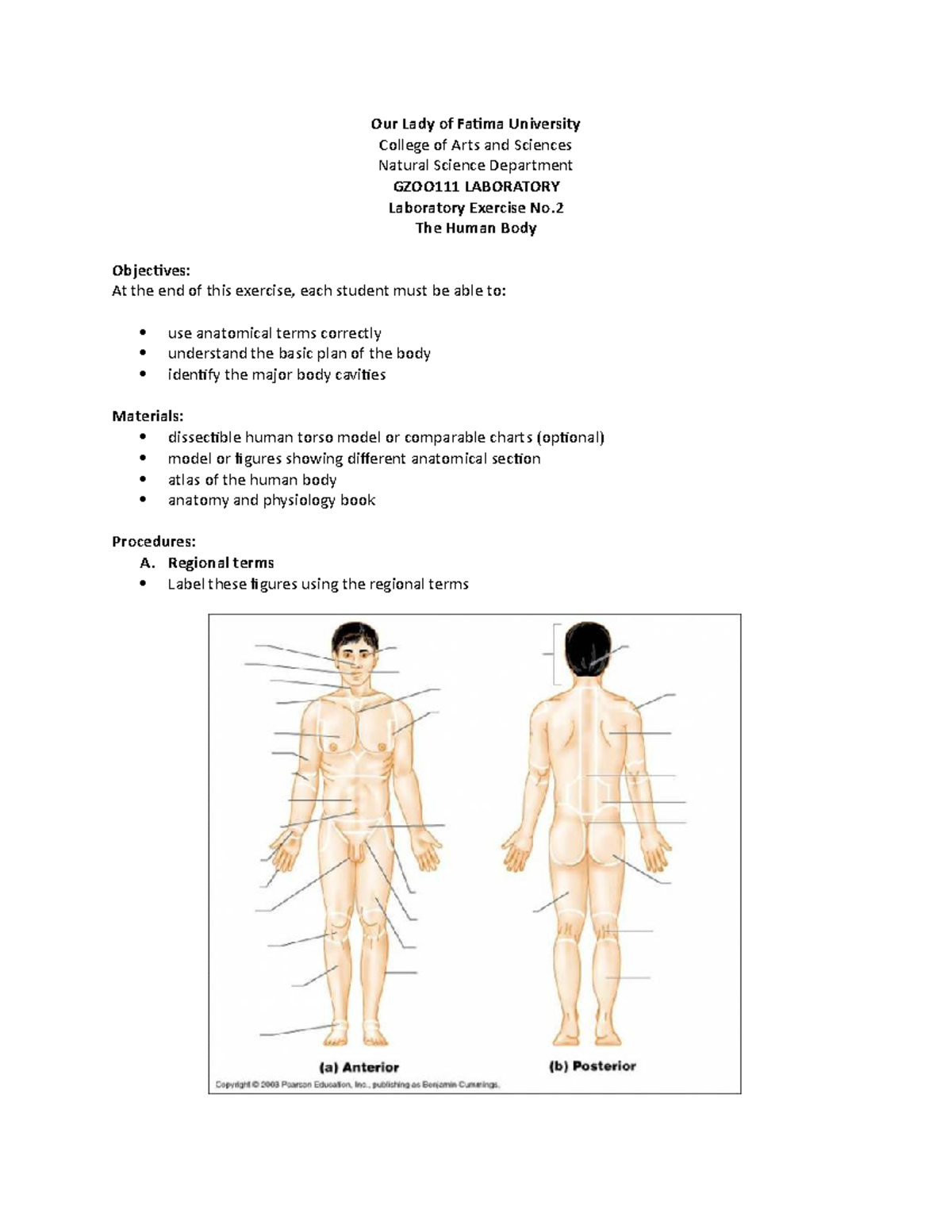#02 Human Body - assignment - Our Lady of Fatima University College of ...
