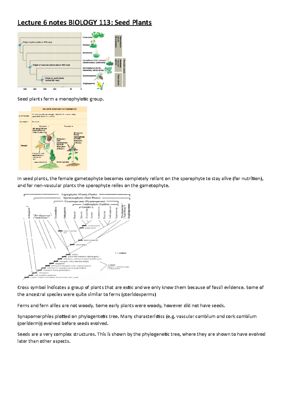 Lecture 6 notes seed plants - Lecture 6 notes BIOLOGY 113: Seed Plants ...