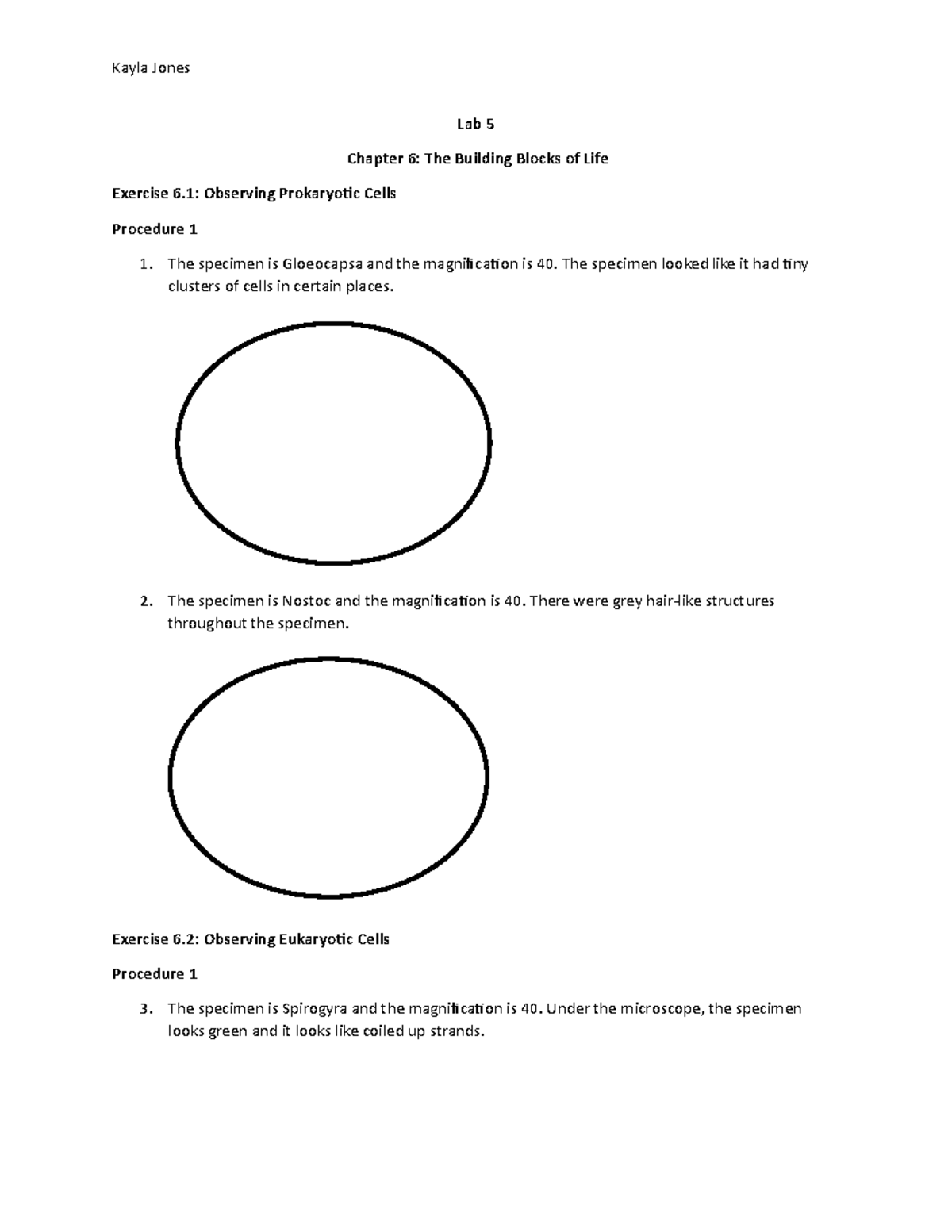 Lab 5 The Building Blocks of Life - Lab 5 Chapter 6: The Building ...