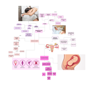 [Solved] Es el eje central del desarrollo de las identidades de los