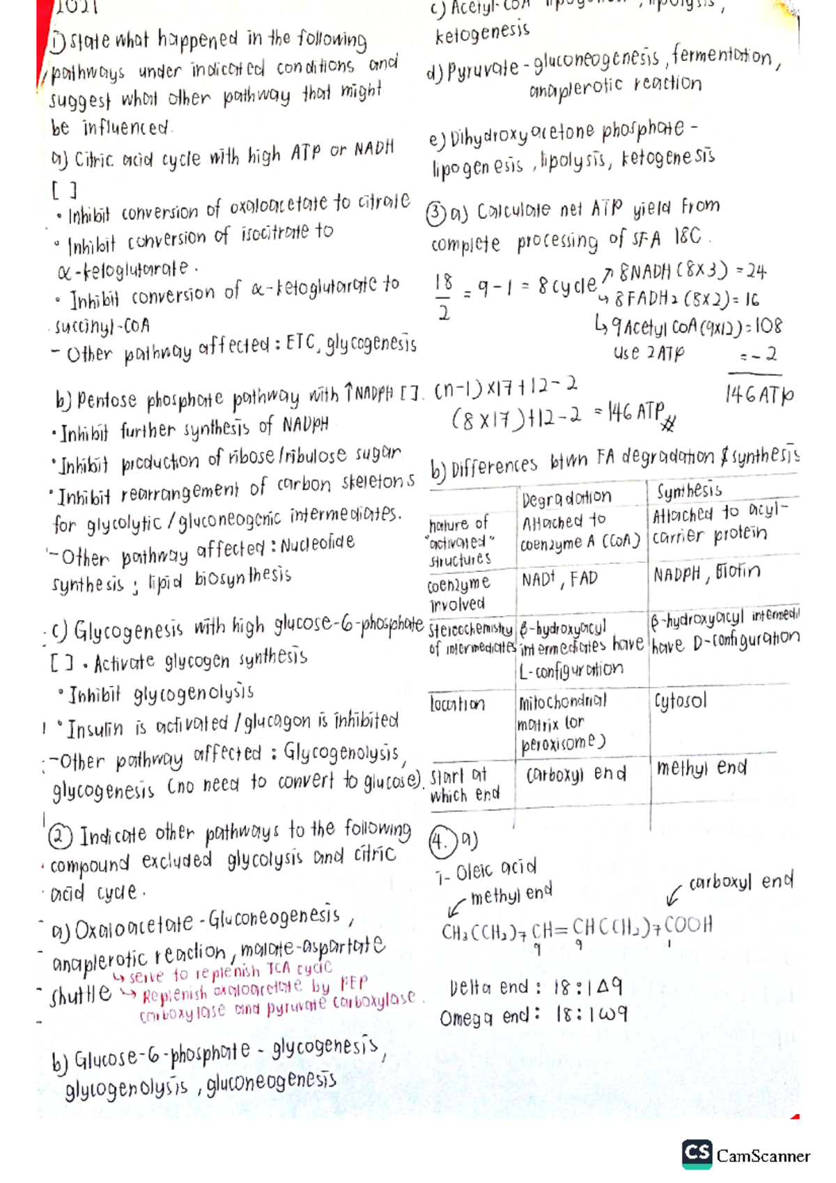 Biokimia Revision PART 4 - CamScanner CamScanner - Studocu