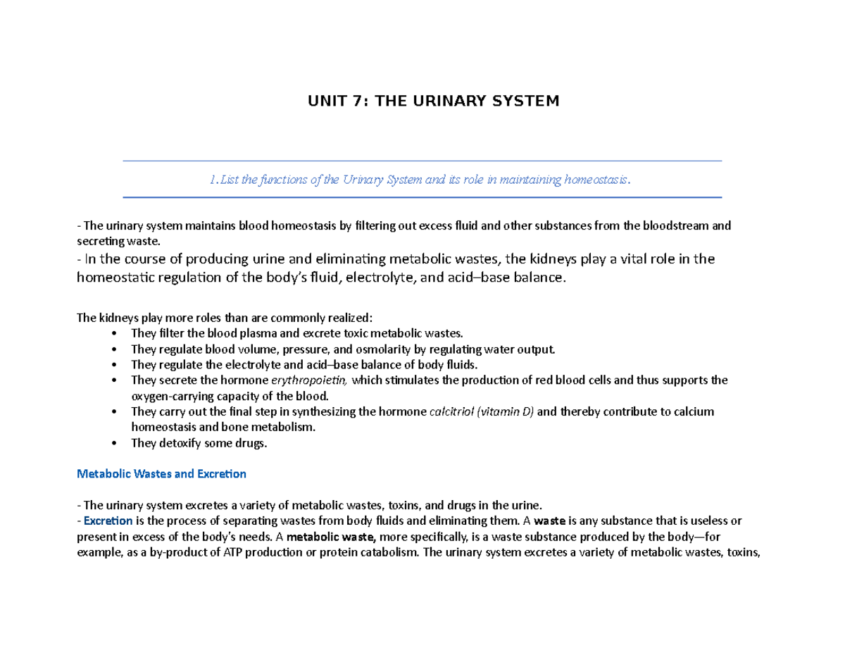 summary of urinary system essay