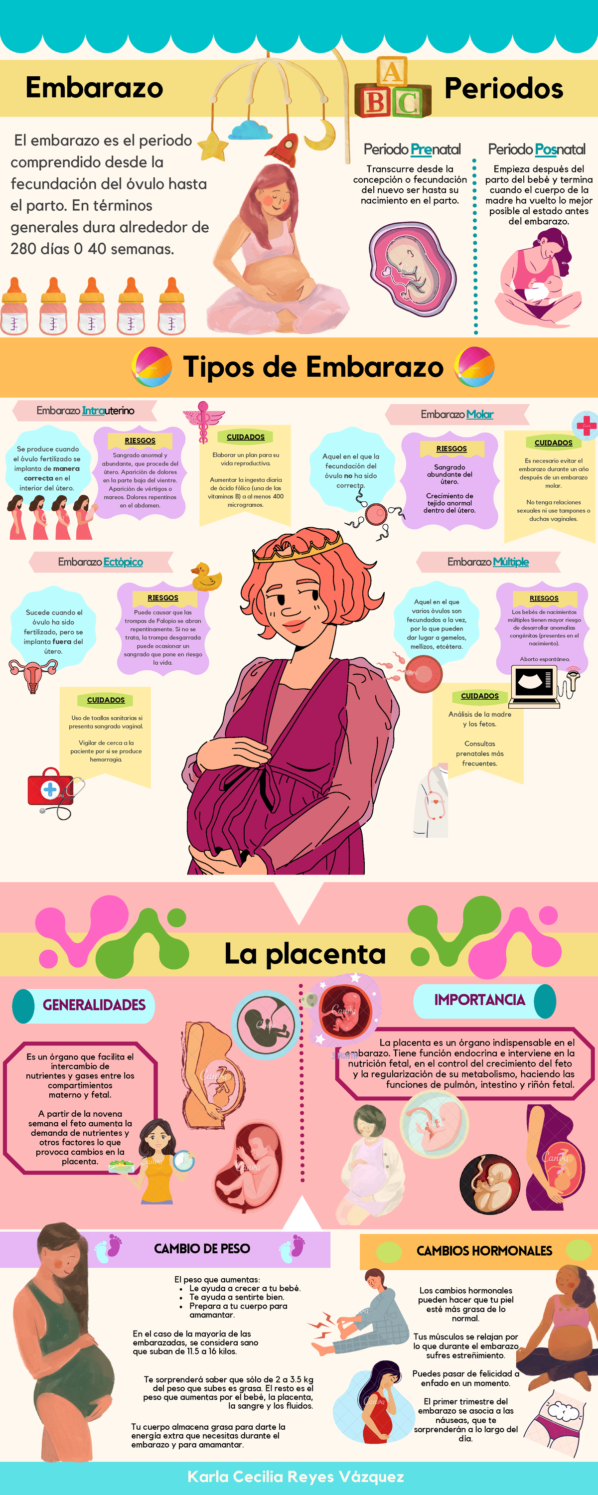 Infografía Sobre El Embarazo Tipos De Embarazo La Placenta Y Los Cambios Hormonales Durante El