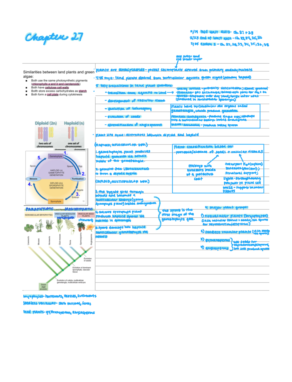 Unit 2 Study Guide Summary - BIOL 123 - Studocu