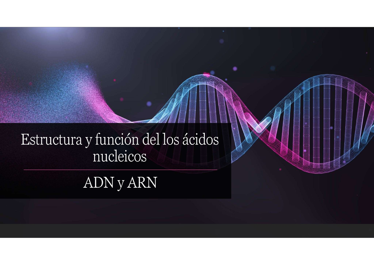 Estructura Y Función DE LOS Ácidos Nucleicos - Estructura Y Función Del ...