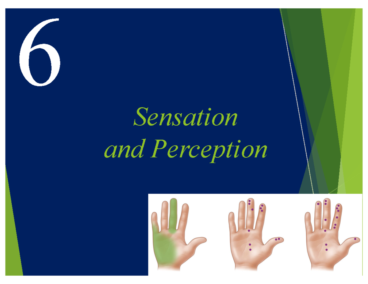 Po P1e Ch06 Lecture - Sensation and Perception 6 6 Sensory System ...