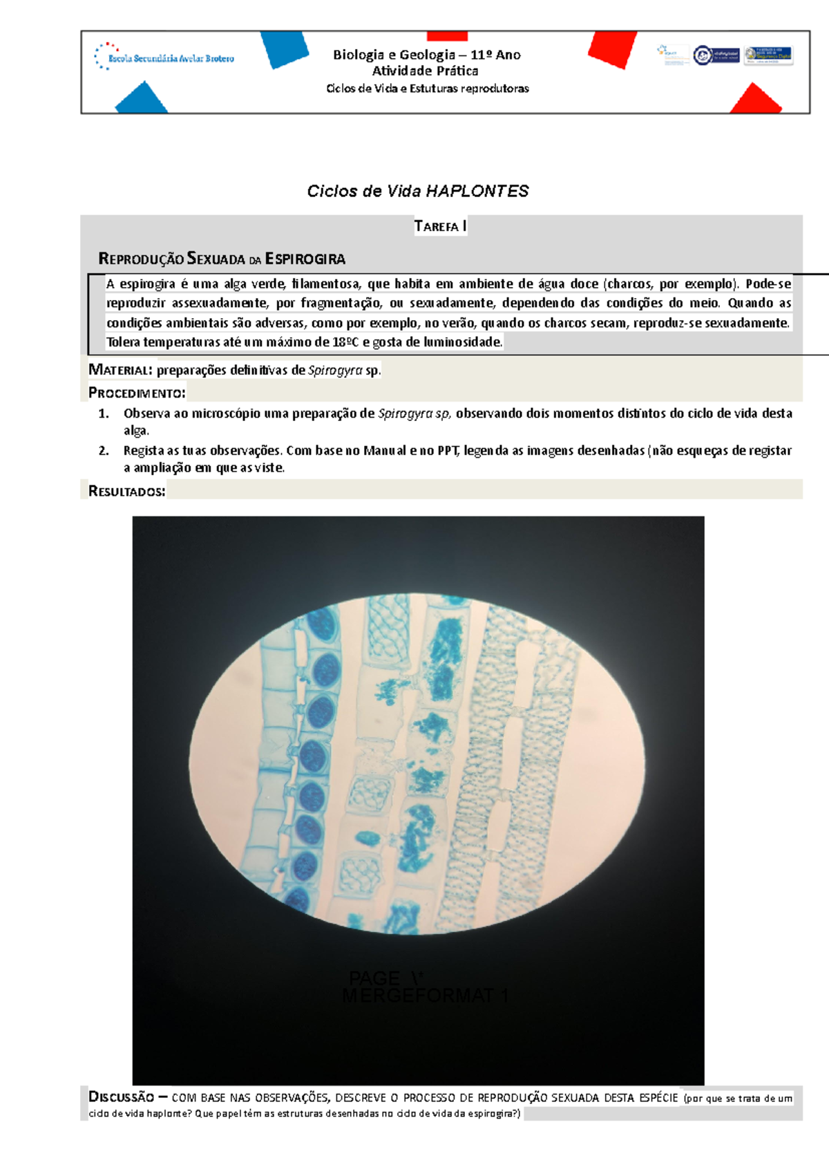 AP7 ciclos de vida - trabalho pratico de laboratorial - Ciclos de Vida ...