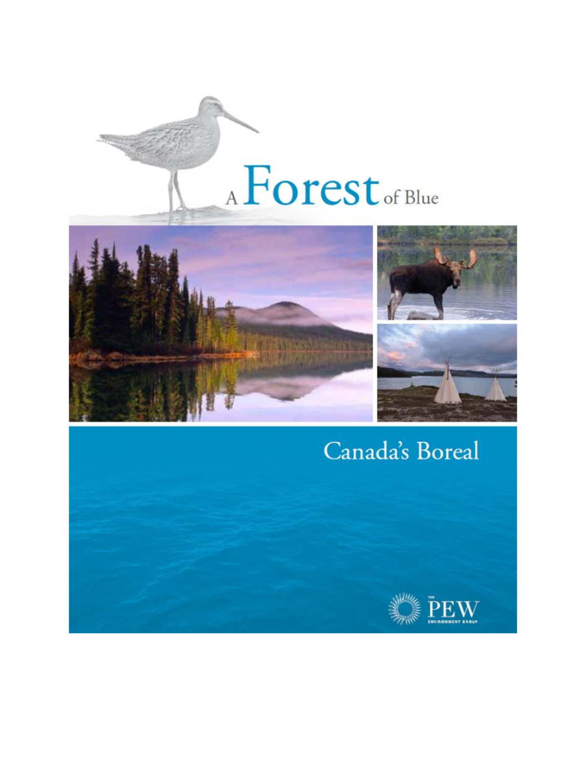 climate-change-impacts-on-the-boreal-forest-geog-1290-studocu