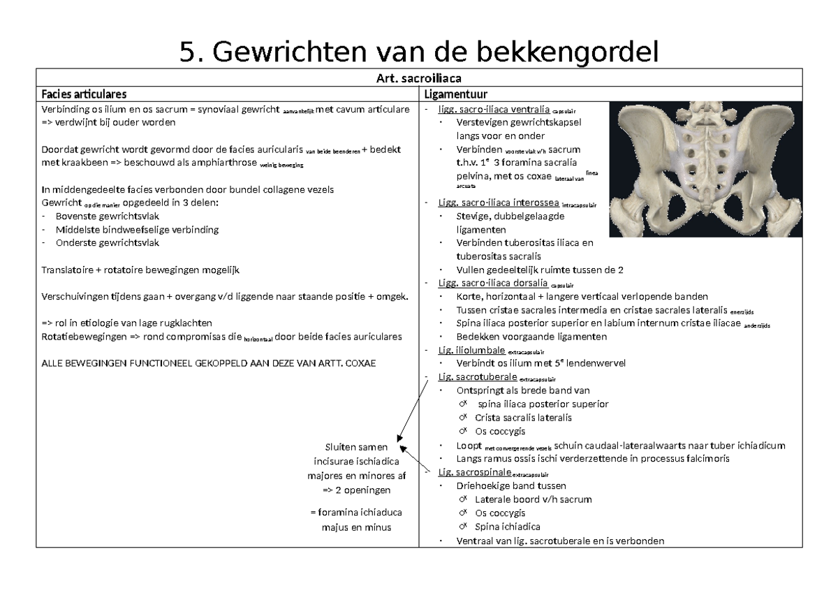 Schema ligamenten membrum inferius - 5. Gewrichten van de bekkengordel