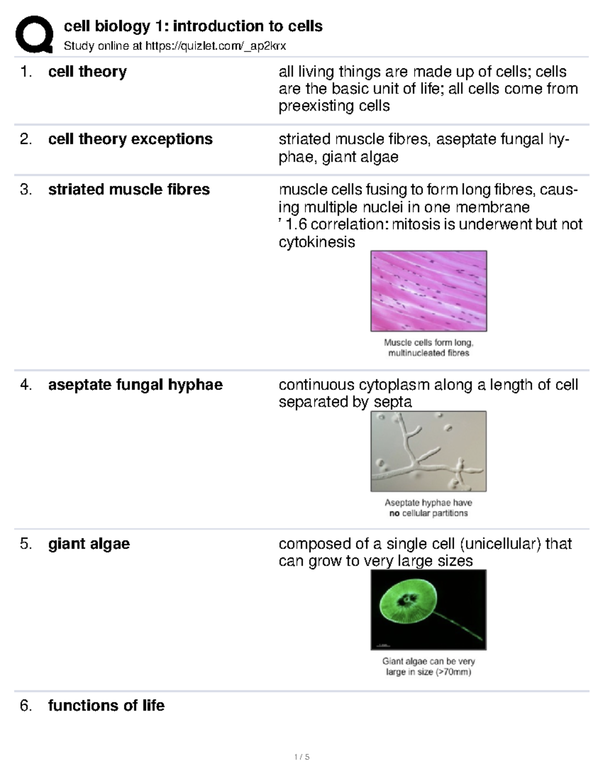 Bio Quizlet - 44vdk4t