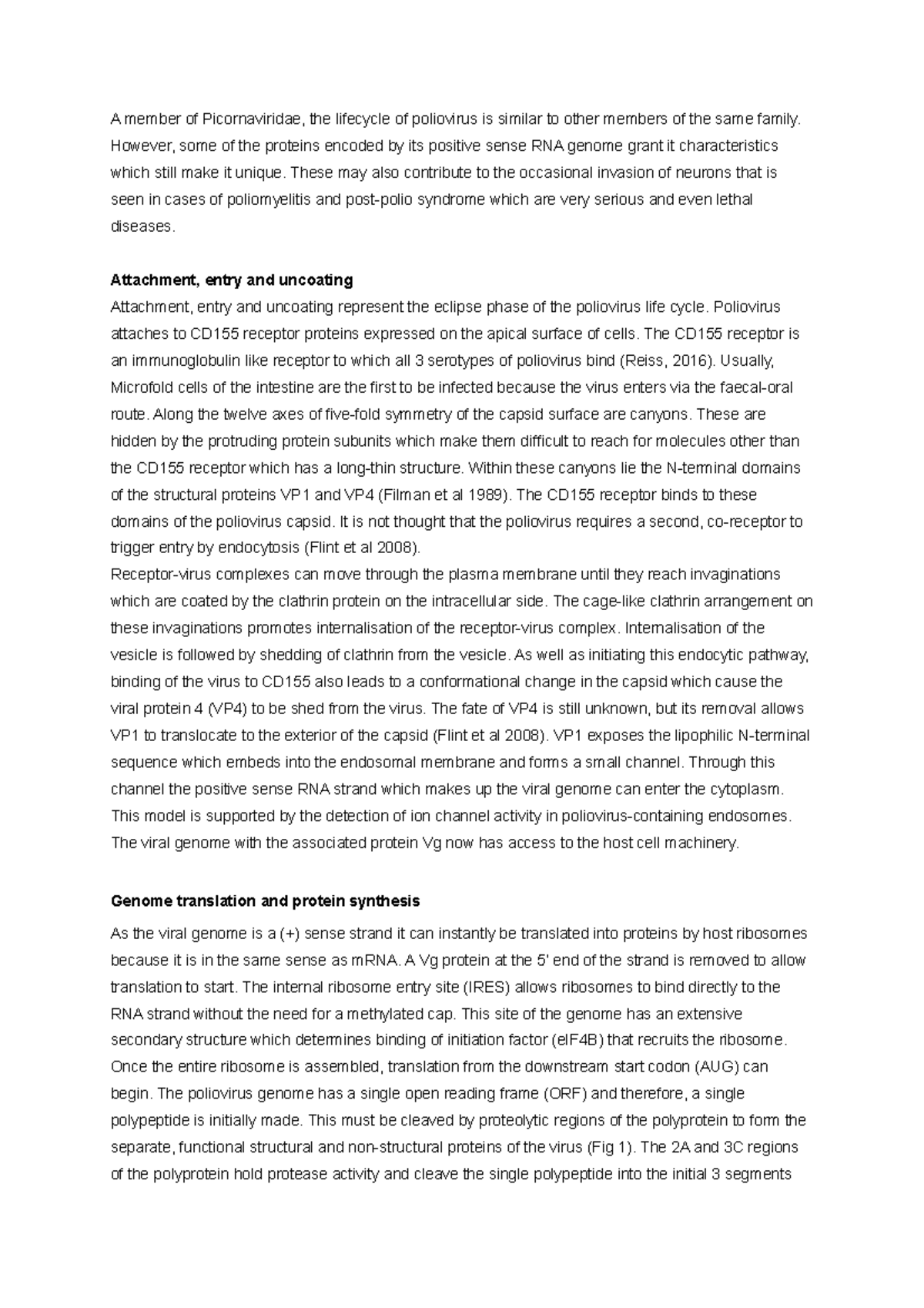 Essay Polio virus 1st - A member of Picornaviridae, the lifecycle of ...