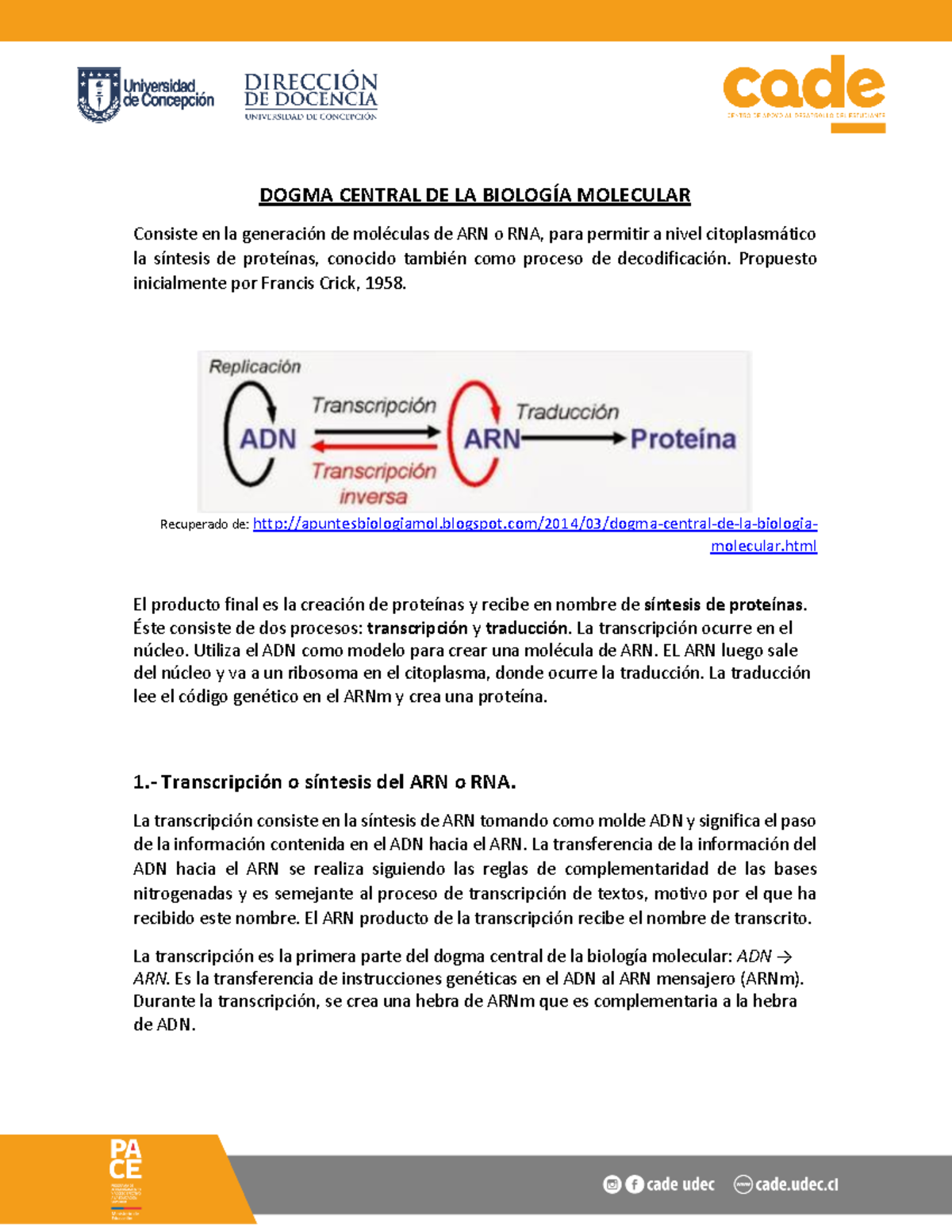 Biologia biologia molecular dogma de la biologia molecular DOGMA