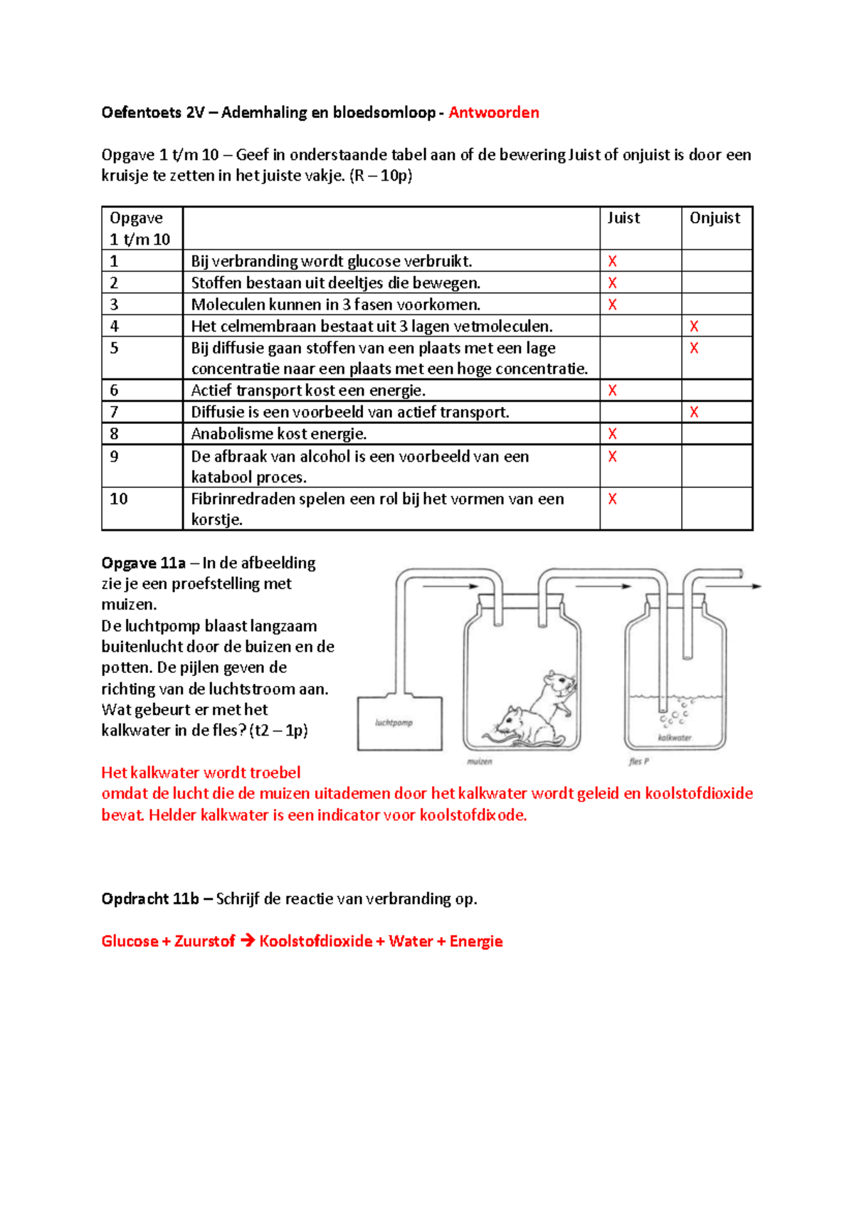 Oefentoets 2V Ademhaling En Bloedsomloop CV - (R – 10p) Opgave 1 T/m 10 ...