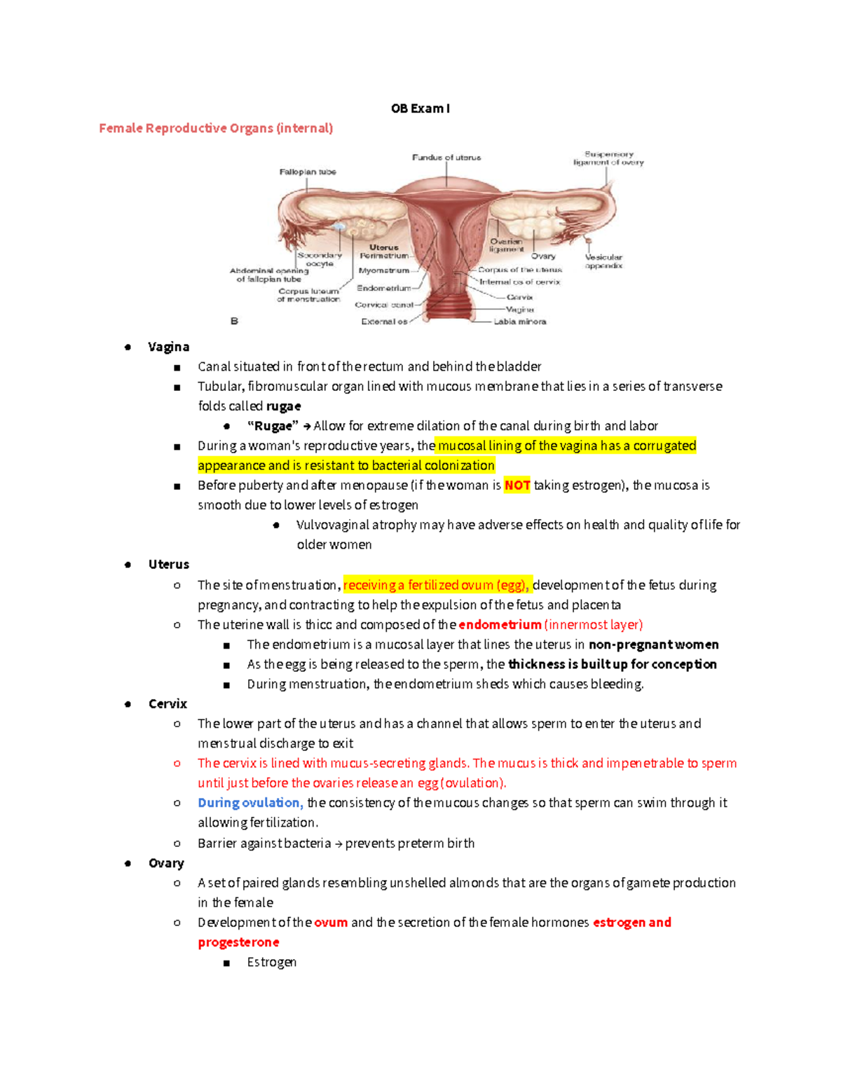 OB Exam I - OB exam 1 Stacey Lobst - OB Exam I Female Reproductive ...