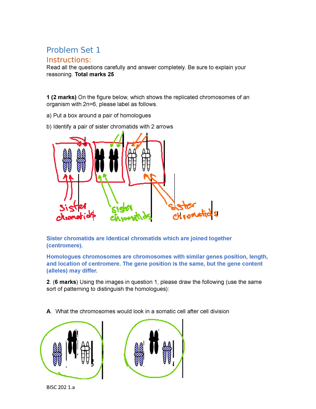 genetics problem solving set answers