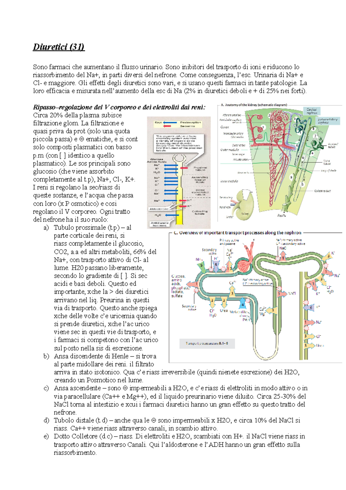 31 - Diuretici - Diuretici (31) Sono Farmaci Che Aumentano Il Flusso ...