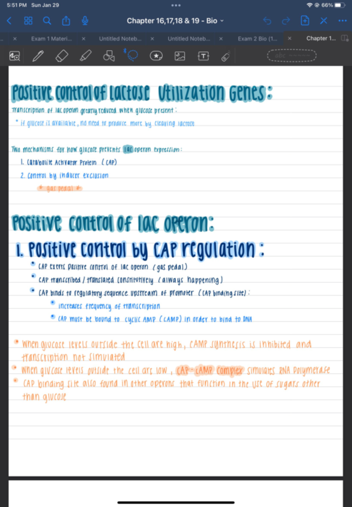 Chapter 18 Notes - BI 111 - Studocu