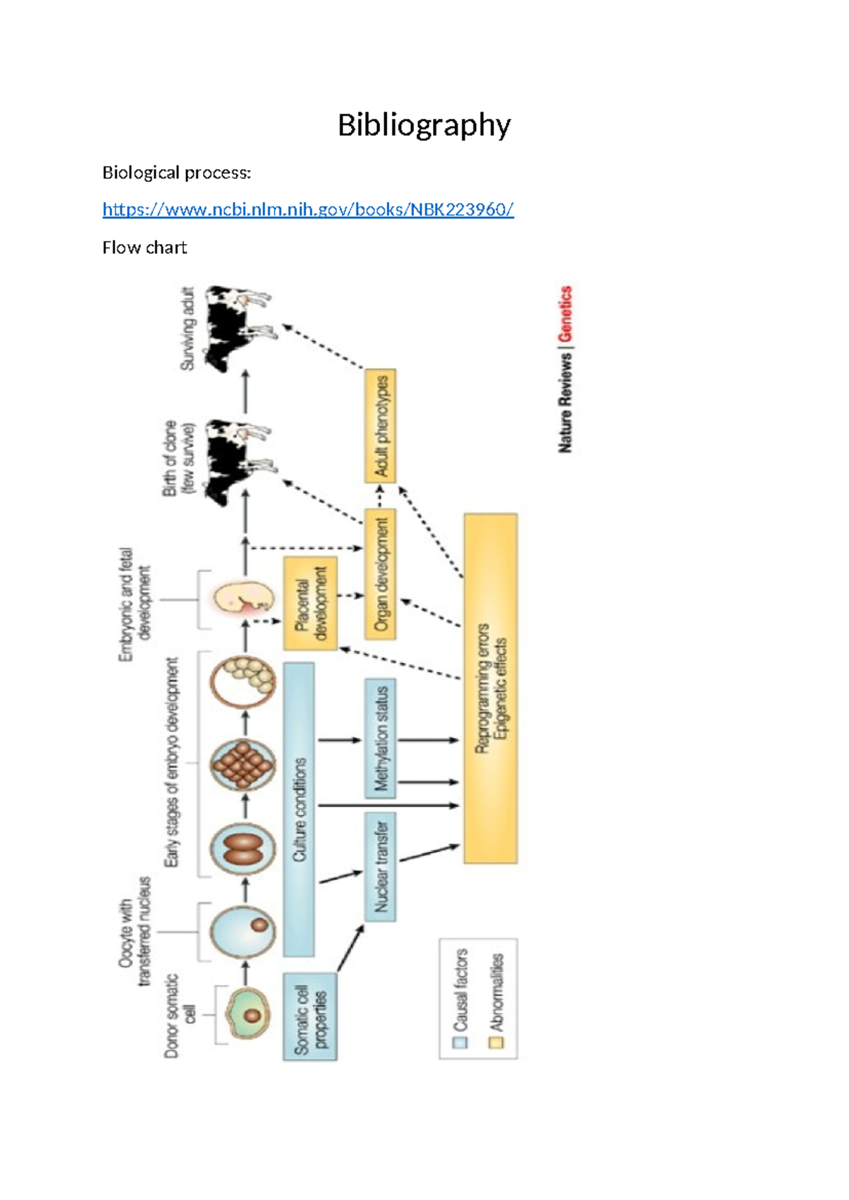Bibliography for biology - Embryonic and fetal Oocyte with development ...